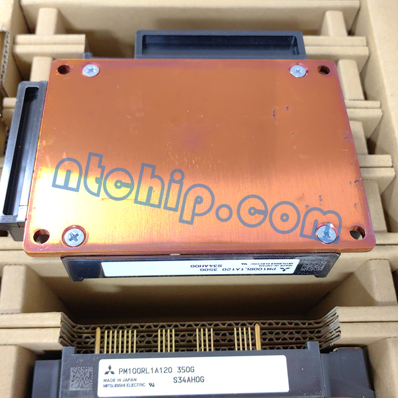 PM100RL1A120 bottom picture